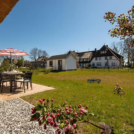 Inseldomizil Stolpe - Urlaub Unter Reet Auf Usedom *